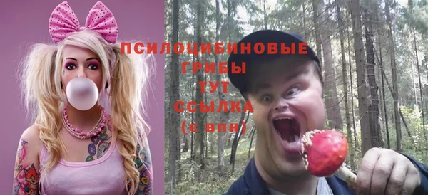 тгк Армянск