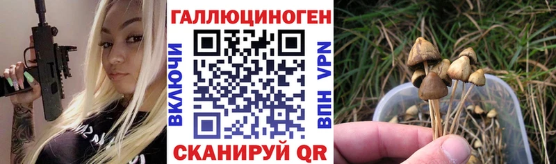 мориарти состав  Баймак  Галлюциногенные грибы GOLDEN TEACHER 